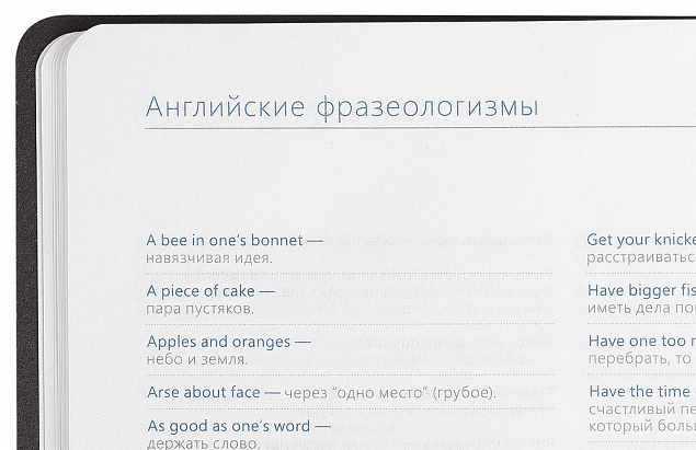 Ежедневник Vivien, недатированный, бирюзовый с логотипом в Новосибирске заказать по выгодной цене в кибермаркете AvroraStore