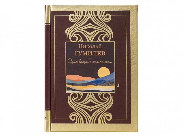 Набор книг «Шкаф мудрости» с логотипом в Новосибирске заказать по выгодной цене в кибермаркете AvroraStore